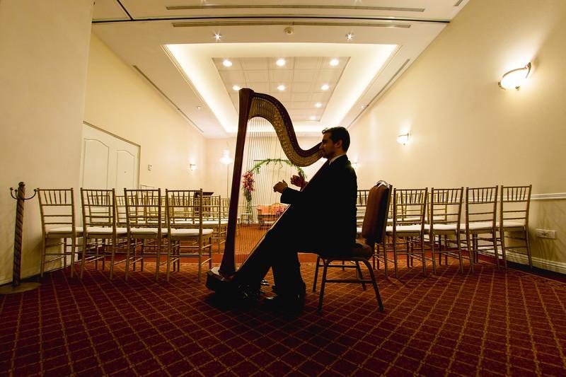 Safi Royal Luxury Valle San Pedro Garza Garcia Екстер'єр фото A harpist playing at a wedding